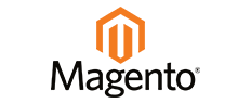 Hire Magento Experts