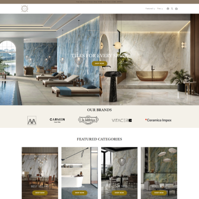 Shopify website design in USA