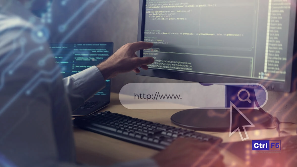 Create Headless WordPress Site