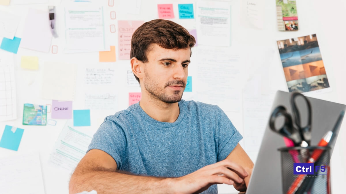 WordPress REST API