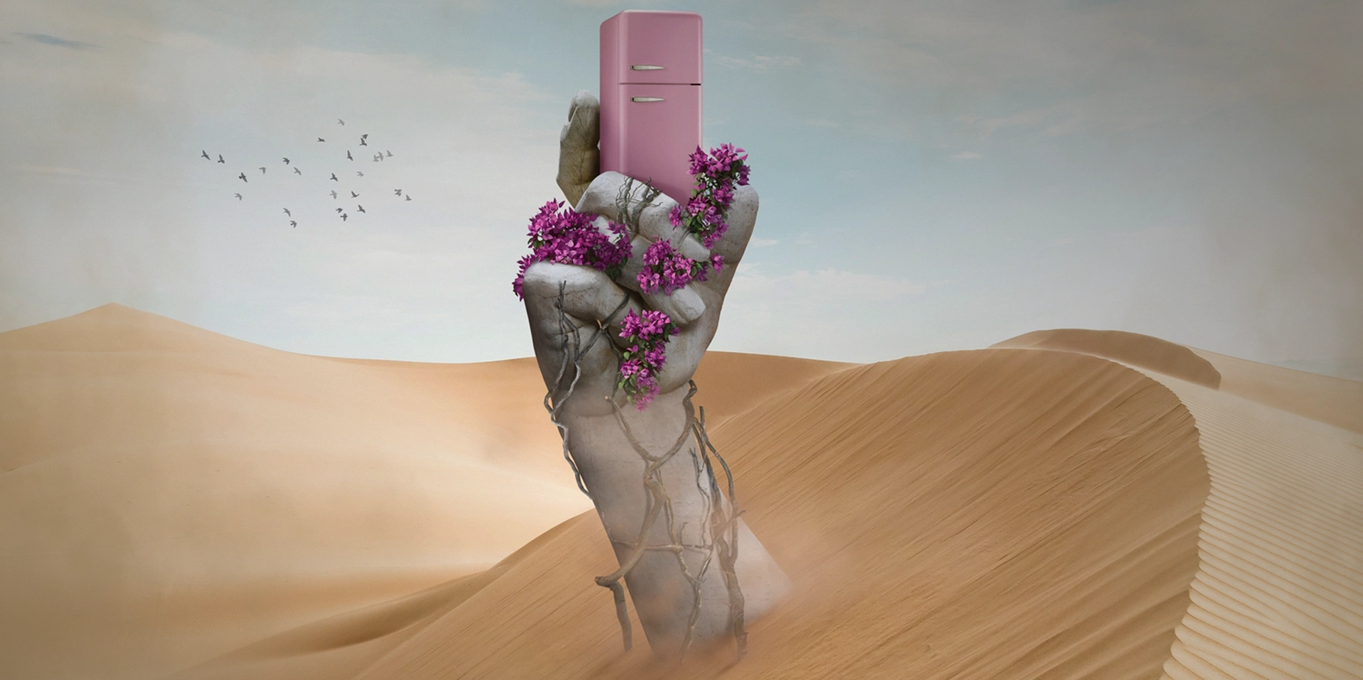 shopify website development