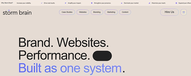 shopify agency usa storm brain shopify design agency