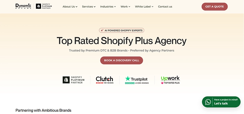 Dynamic Dreamz white label WordPress agency