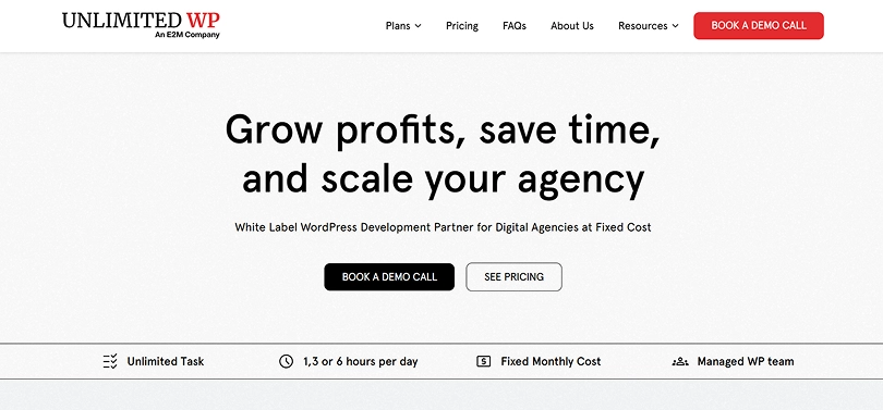 UnlimitedWP white label WordPress services